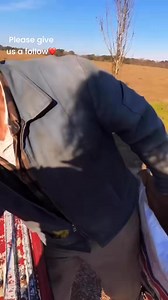 250K views · 4.1K reactions | The breakdown on cattle feed #cow #farming #farm #farmer #knowledge #Experience | thecussingfarmers | Facebook