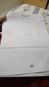 Worksheet 17Name the marked angles in the following figures:... | Filo