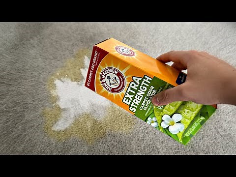 How to Get Rid of Carpet Odor : Carpet Cleaning Hack