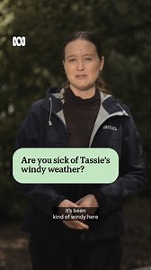 More than half of Tasmanian spring days so far this year have been subject to severe weather warnings, as windy conditions frustrate residents in the southernmost state. 🎥 Scout Wallen via ABC News Tasmania. Choose your news on the ABC NEWS app and stay in the know: https://ab.co/abcnewsapp | ABC Hobart