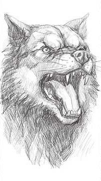 How to Draw a Realistic Wolf Head 🐺 | Intense Pencil Sketch Tutorial