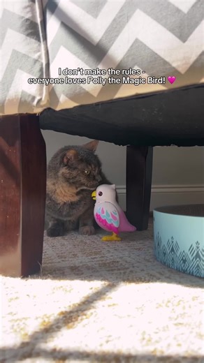 ZURU Toys on Instagram: "Everyone loves Polly the Magic Bird! ✨ #ZURU #ZURUToys #Toy #Toys #newpet #PetsAlive #MagicBird #Magic #GiftIdeas #GiftShopping #GiftsForKids #GiftsForGirls #BirthdayGift"