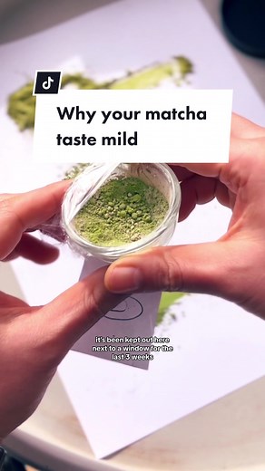 Understanding the Mild Flavor of Matcha: Expert Insights