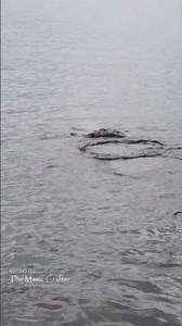 A mermaid swims in Mullett Lake on a cloudy day