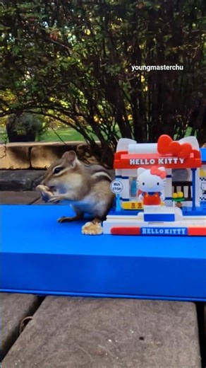 Chipmunk has snacks with Hello Kitty