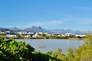 Croydon Olive Estate