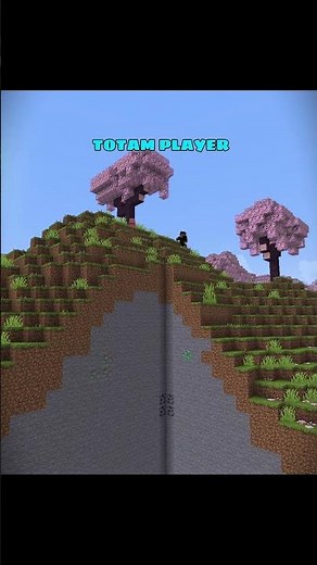 Types of Players in Minecraft [MLG] 😂🔥 | #minecraft