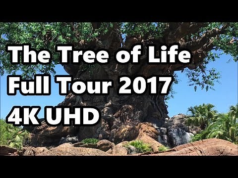 Tree of Life at Disney's Animal Kingdom | Full Tour in 4K | 2017