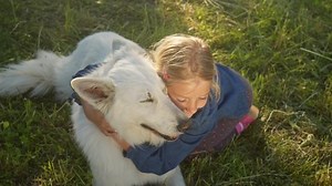 Little Blonde Girl Hugging Cuddling Her Stock Footage Video (100% Royalty-free) 1094794181 | Shutterstock
