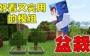 我的世界：全自动树木收集装置？拥有它生存模式就等于无限资源！