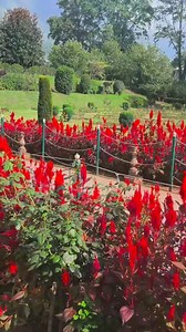 Awesome view of Nishat Garden ♥️ | Nature Beauties