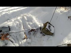 160 Meter Inverted L antenna.