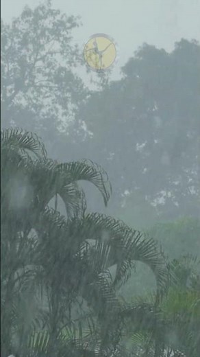 Barulho de Chuva e Trovão | Rain & Thunder Sounds – Relaxing Storm for Sleep & Meditation. #rain