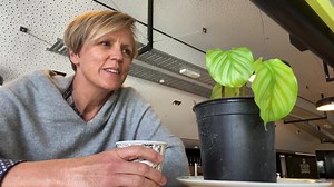 36K views · 2.8K reactions | With the end of lockdown looming it’s time to say goodbye to my dear friend Barry. I’m going to miss this little guy. His owner Ange will be back in the TVNZ office soon so it’s time for me to put him back on her desk and to relinquish custody. Unlike me, Barry lost a lot of weight during lockdown but I’m hoping he’s on the road to recovery. I’ll miss you my special bubble buddy but I’ll always treasure the memories. | Hilary Barry | Facebook