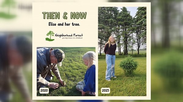 St. Louis County Library gives 1,900 free trees to kids for Earth Week