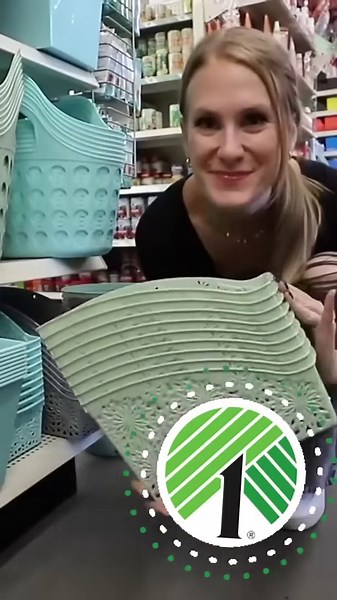 DOLLAR TREE organization hacks! 🤯 2024 #dollartree