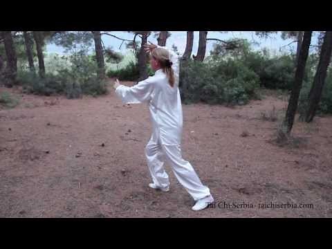 Tai Chi Chuan Yang style 24 Form
