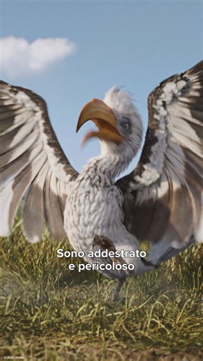 Riccardo Suarez, la voce di uno strepitoso Zazu ❤ #Mufasa: Il Re Leone è ora al cinema. | Disney