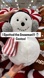 145K views · 1.5K reactions | ⛄️ Needle in a haystack  #costco | Costcohotfinds | Facebook