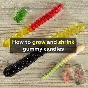 220K views · 158 reactions | How can anyone experiment with gummy candies and not eat them? Not to worry – we took care of it for you For step-by-step instructions go here: https://mel.sc/sSe/ For cool and safe experiments to do at home, sign up for MEL Science here: https://mel.sc/sSf/ | MEL Science | Facebook