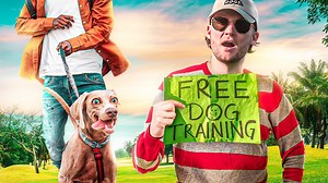 13K views · 917 reactions | In this Dog Training video, Tom Davis trains a German Shepherd to STOP leash pulling. Tom Davis is a professional celebrity dog trainer in a park offering free dog training to people who need it the most! Tickets to my Canadian Seminar! https://tomdavis.eventsmart.com/event-category/canada/ | Tom Davis Dog Training | Facebook