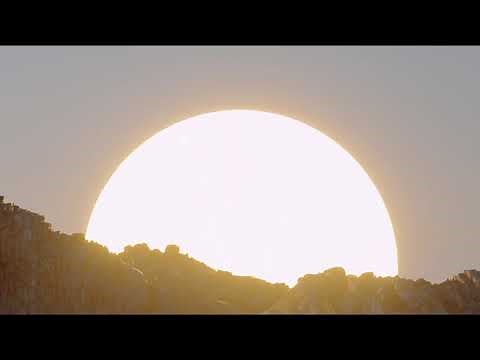 Tom Petty - You Saw Me Comin' [Official Music Video]