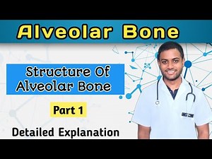 Alveolar Bone structure and functions// Part 1 #bds #dentalhistology