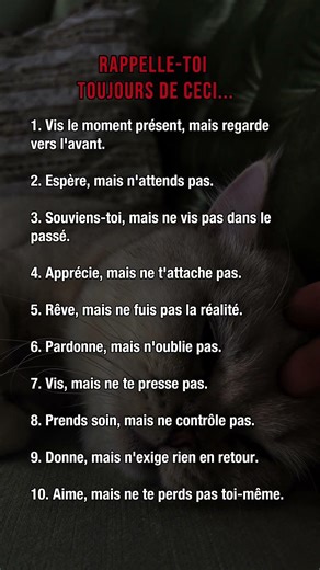 👉🏻👤RAPPELLE-TOI TOUJOURS DE CECI... #motivation #psychologie #mindset #discipline