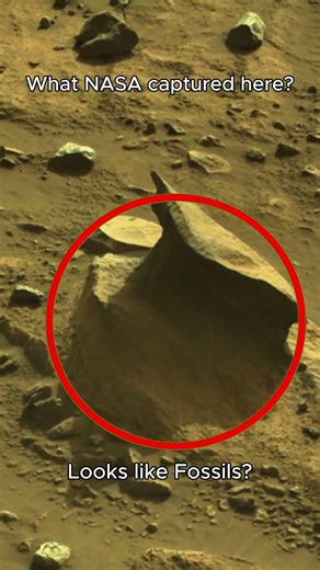 Why NASA Zoomed In Here Will Surprise You