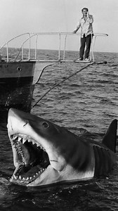 212K views · 4.1K reactions |  WTF how did something this creepy happen during filming and never get shut down The Creepiest Thing That Happened During the Filming of Jaws #Jaws #Filming #Hollywood #Creepy | Behind The Castle Walls | Facebook