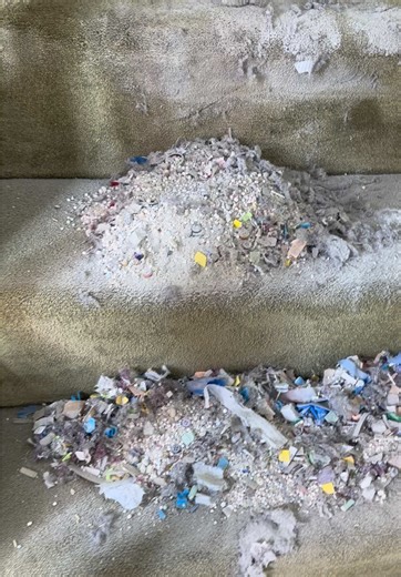 Daily Vacuuming Sounds: An ASMR Experience