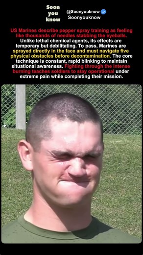 Thousands of Needles in Your Eyes: The Brutal Truth of OC Training 🌶️🔥