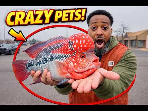 Pet Haven Sterling Heights Michigan | Full Pet Store Tour
