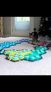 287K views · 8.7K reactions | It's so nice that Mouse Toy has a guardian who doubles as his voice and makes sure he gets the enrichment he needs that day. If only all Mouse Toys could be so lucky... | Flounder Cat | Facebook