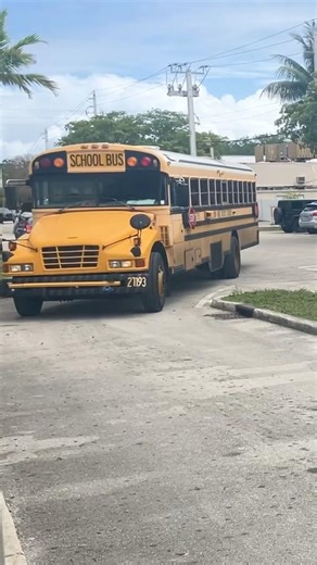 2007 Blue Bird Vision Handicap #27193