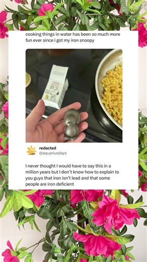 People Think This Iron Cooking Fish Is Made of Lead #cooking #health