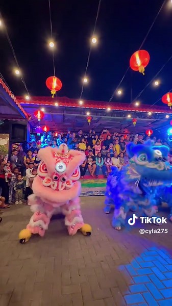 Apt apt 🤣🥳 #pertunjukan #barongsai #imlek2024 #gongxifacai #sukabumi #fyppppppppppppppppppppppp #fypシ #sukabumijawabarat #sukabumihits