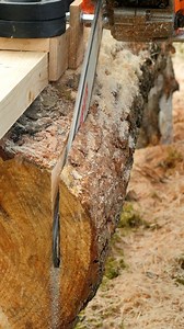 Perfect way to cut logs straight | DeMilked