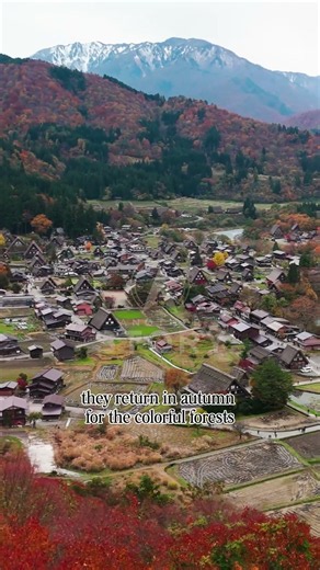 Shirakawa Go - The Most Beautiful Village in Japan? #beautifuldestinations #snow #travel