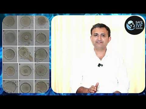 Oocyte Quality Matters! 💡Part-1