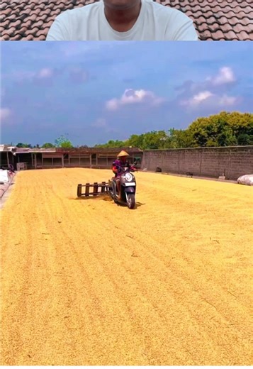 Inovasi petani indonesia #reaction #funny #petani #teknologia #ngakak