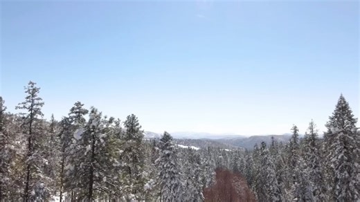 56 reactions · 19 shares | The first snowfall is always so magical and this weekend in the Rim Country did not disappoint! With more snow in the forecast later this week, it’s the perfect time to make your way to Payson to experience a winter wonderland and adventure where we live! ❄️ | Adventure Payson | Facebook