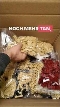 Is this going to be a mega building? What is the.brickapple building with our bricks?