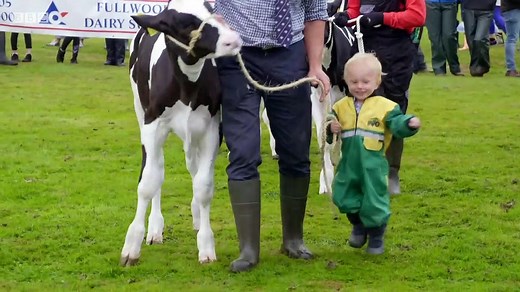 This Farming Life episode 1