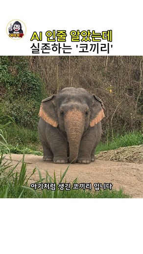 The elephant made even more famous by an AI photo👍