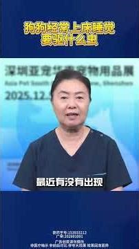 What Insect Is Bugging Your Pooch's Bed