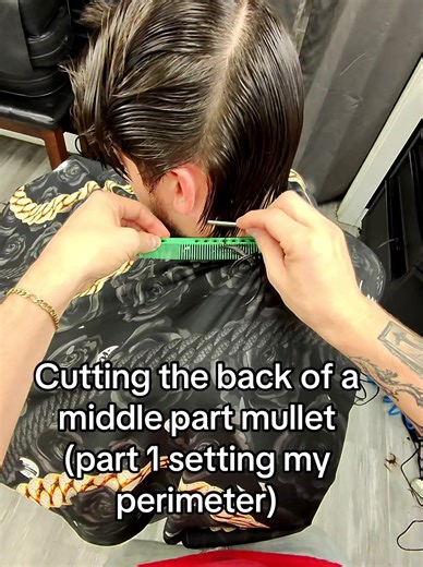 Setting My Perimeter for the Perfect Mullet