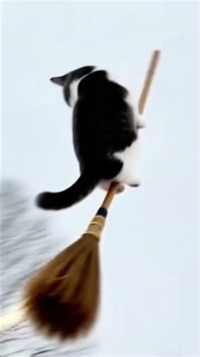 Anything can happen on New Year's Eve!