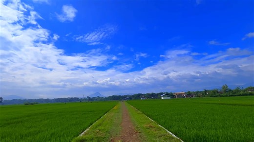 Infinix Note 50 Pro 5G: Ultralebar untuk Pengalaman Maksimal