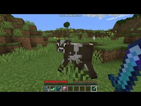 Mega Randomizer Mob Drops Demo